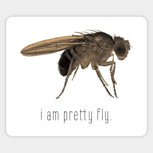 i am pretty fly. Sticker